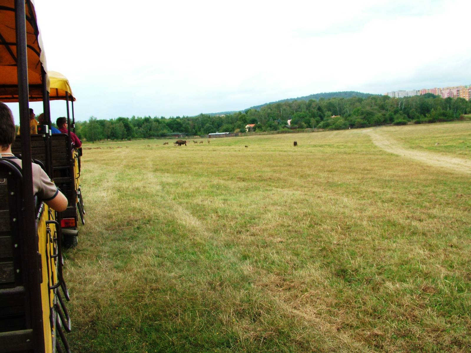 Eurosafari at Chomutov, 30/08/12