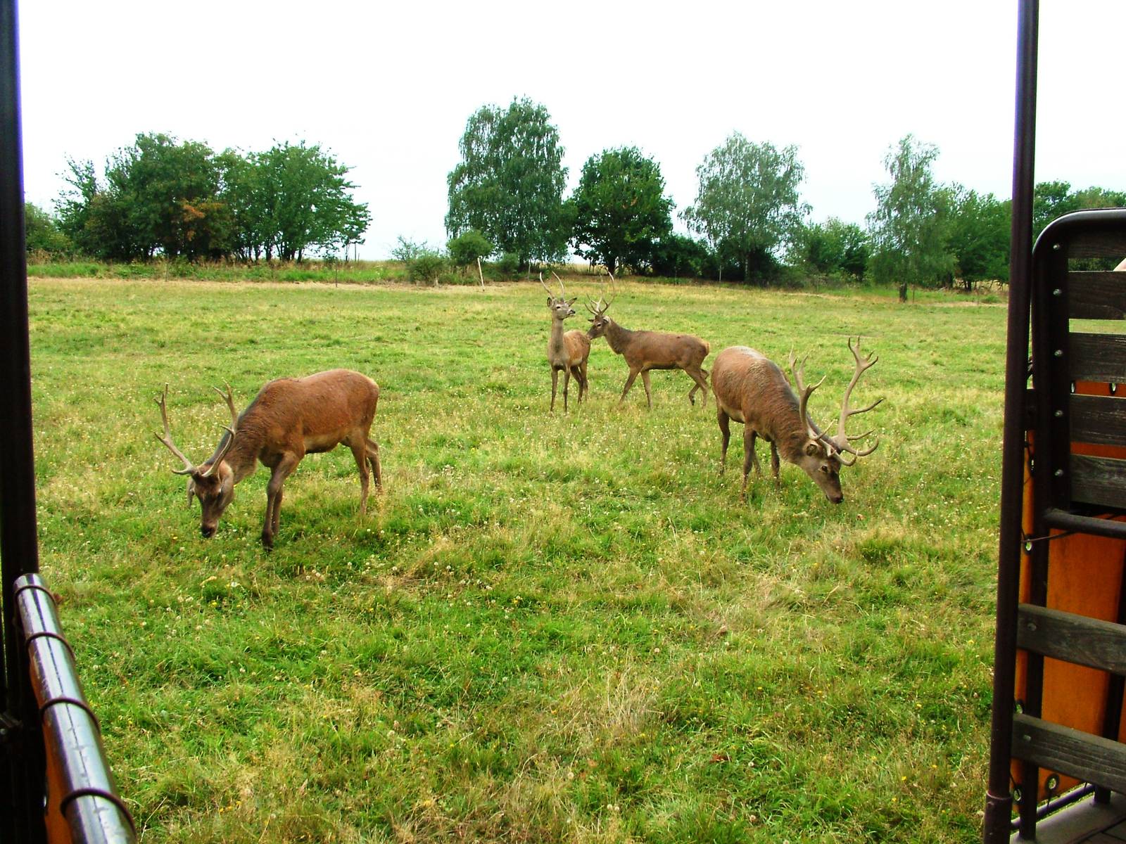 Eurosafari at Chomutov, 30/08/12