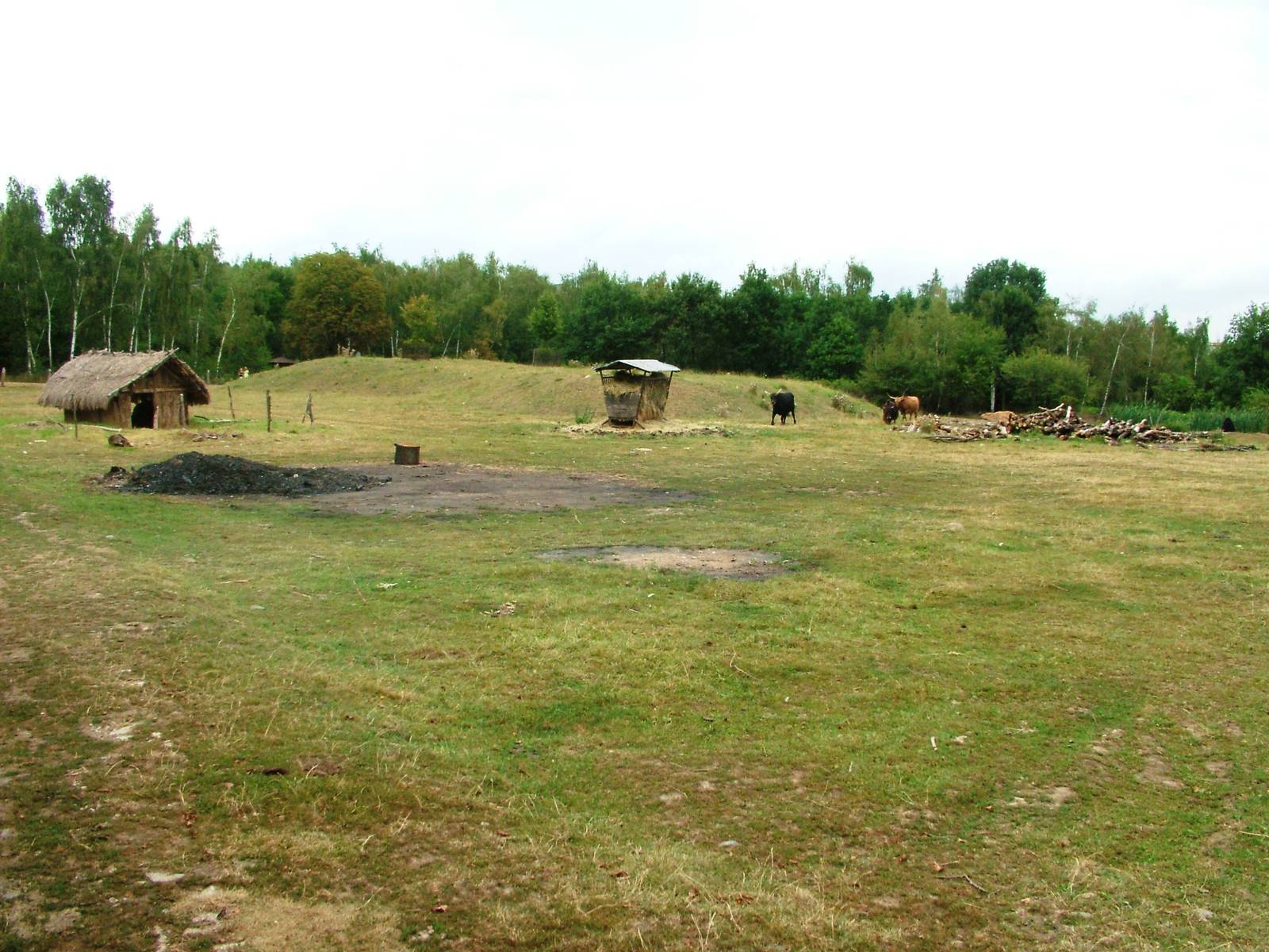 Eurosafari at Chomutov, 30/08/12