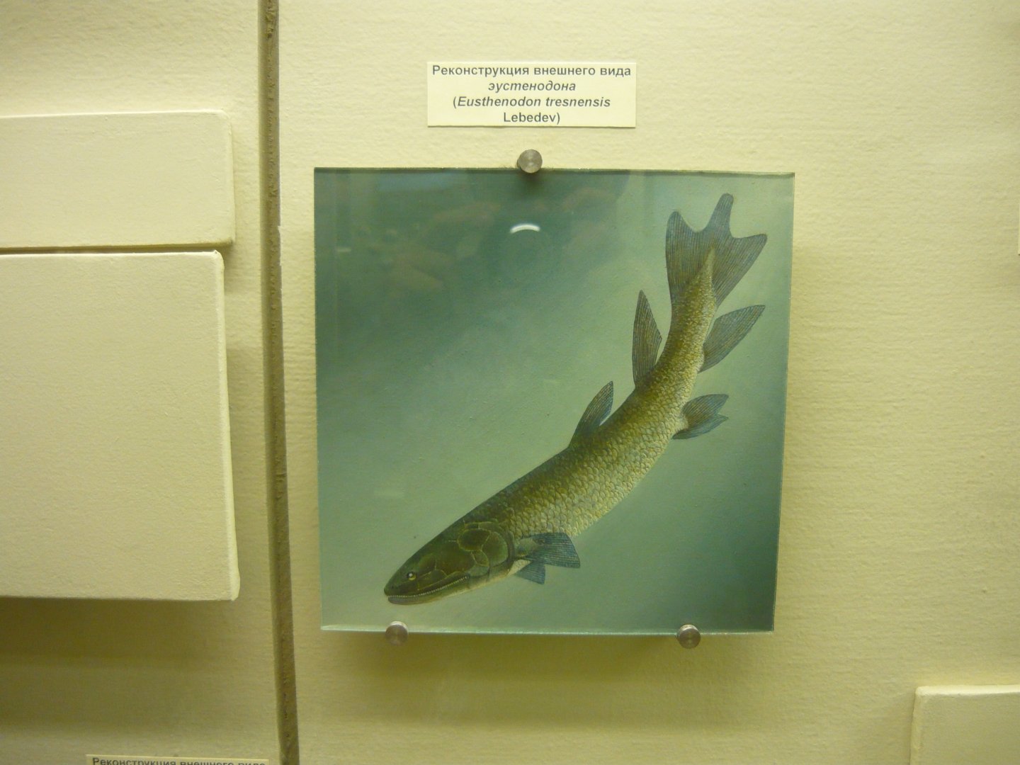 Eusthenodon tresnensis reconstruction