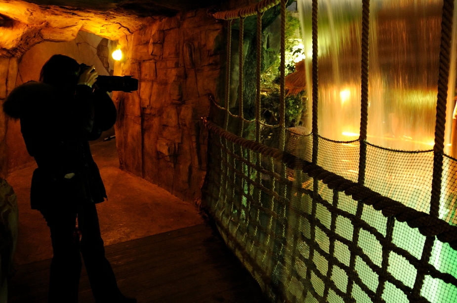 Evening in the Tropen-Aquarium at Hamburg