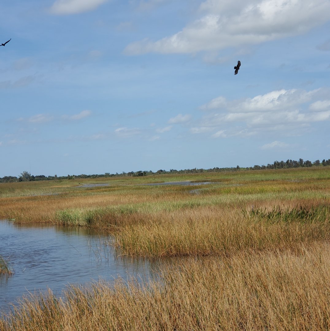 Everglades Alligator Farm (2021) - Everglades boat ride