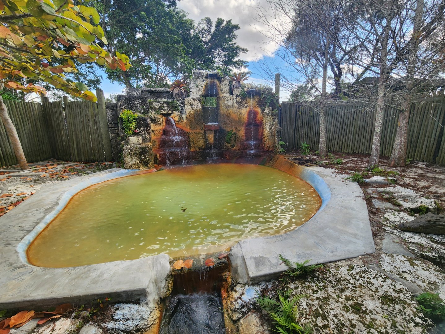 Everglades Alligator Farm (2024) - American Crocodile enclosure