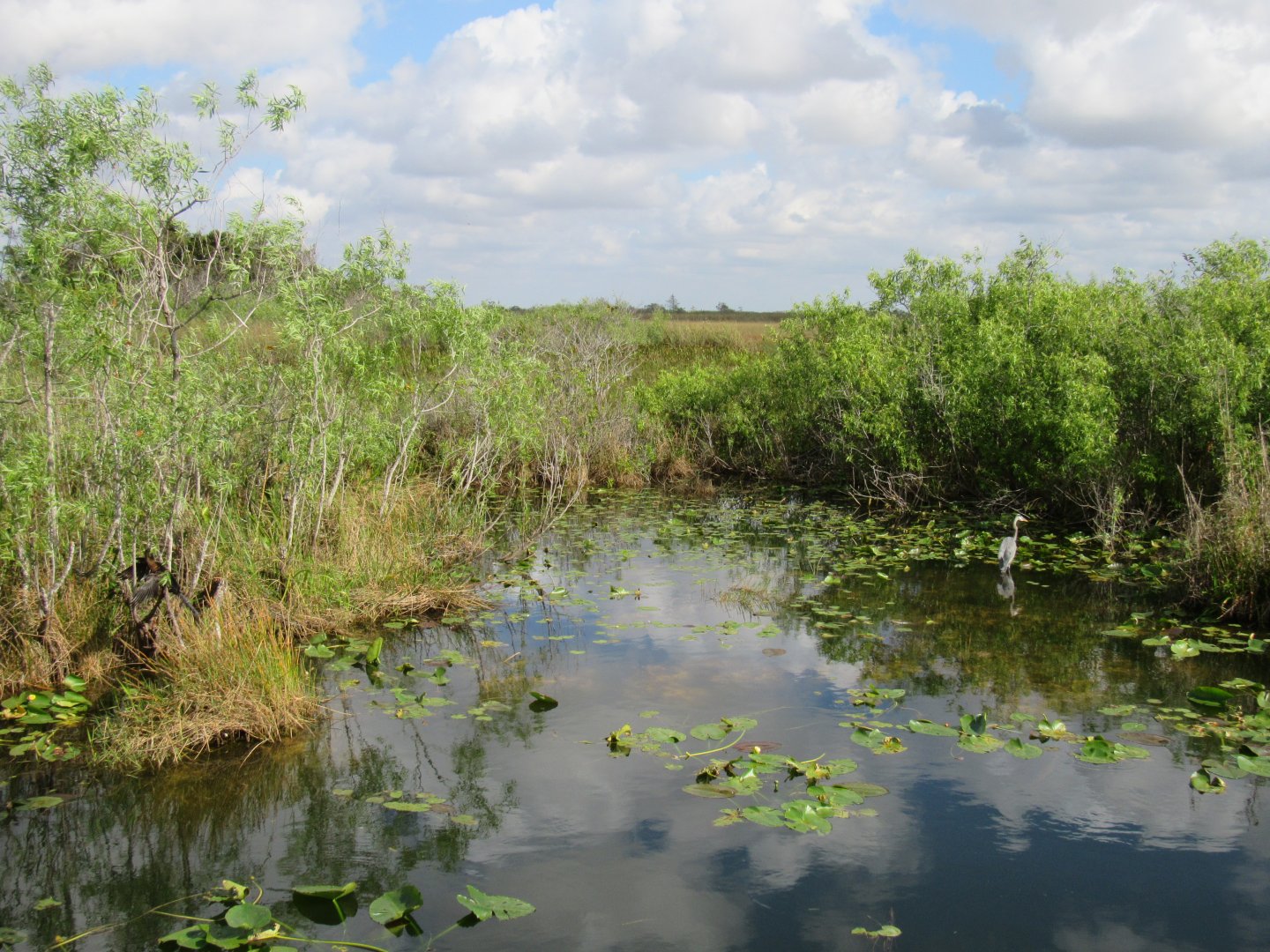 Everglades National Park