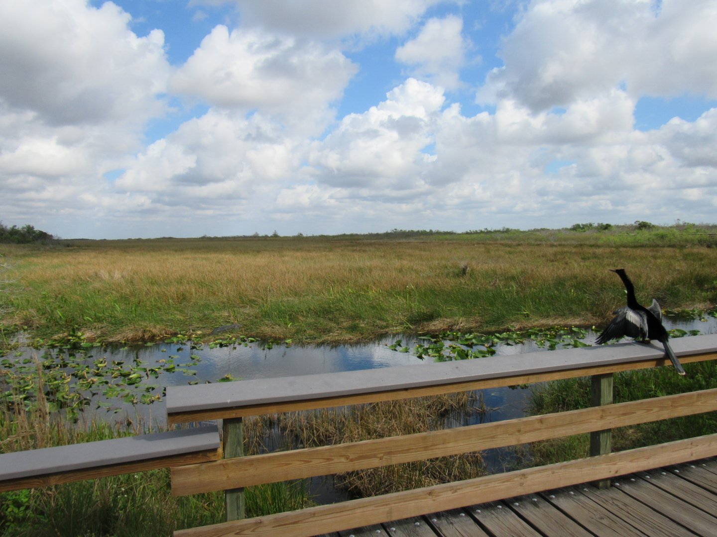 Everglades National Park