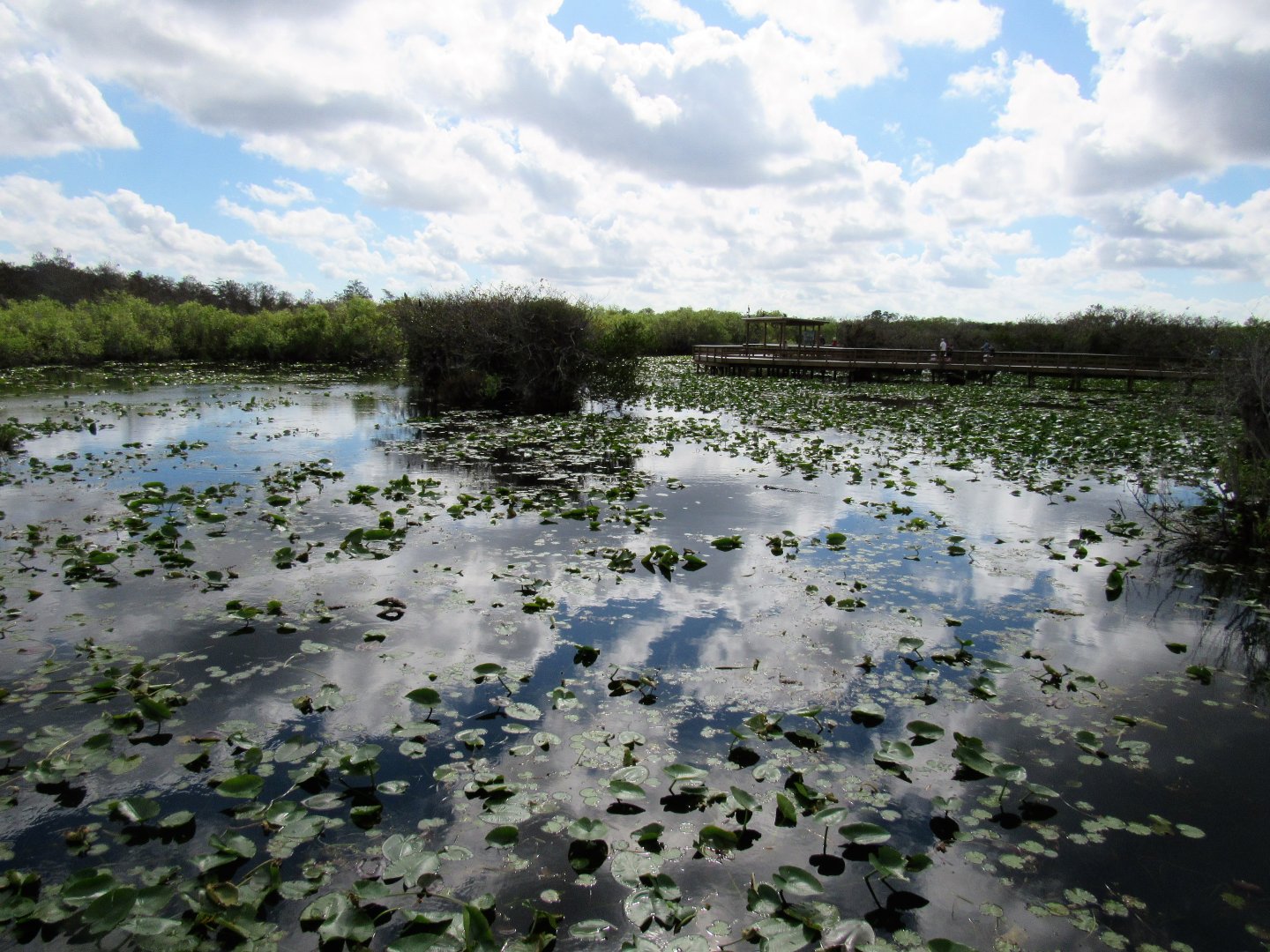 Everglades National Park