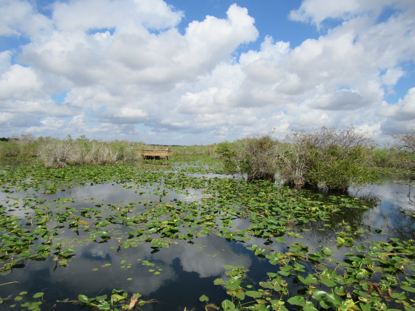 Everglades National Park