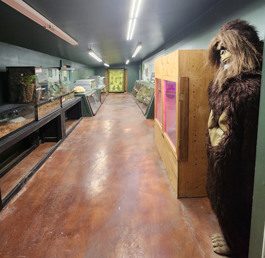 Everglades Outpost - Inside reptile room