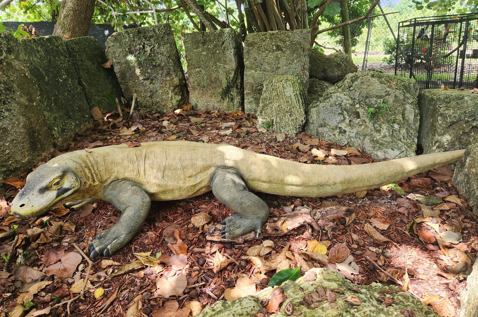Everglades Outpost - Komodo Dragon statue