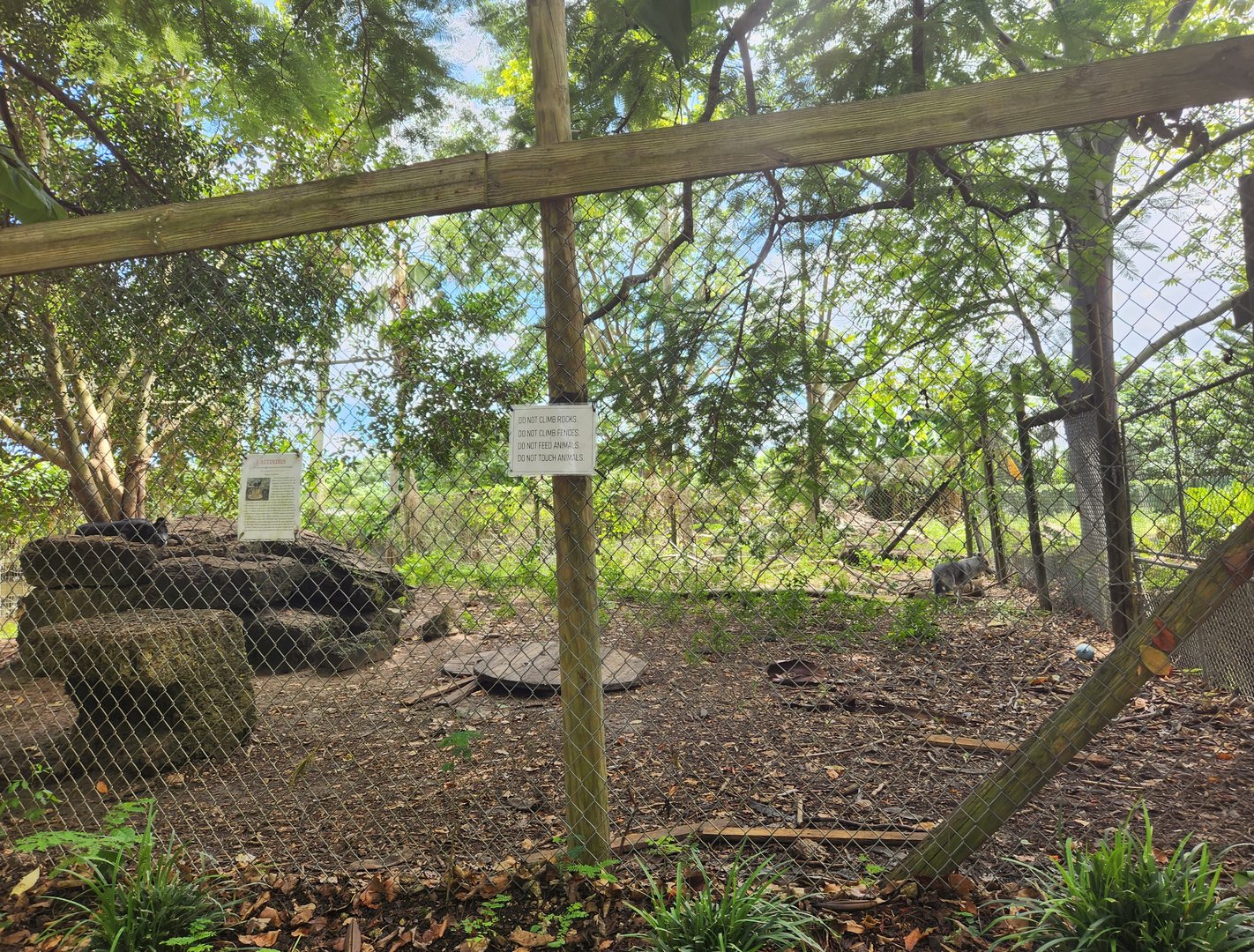 Everglades Outpost - Wolf exhibit