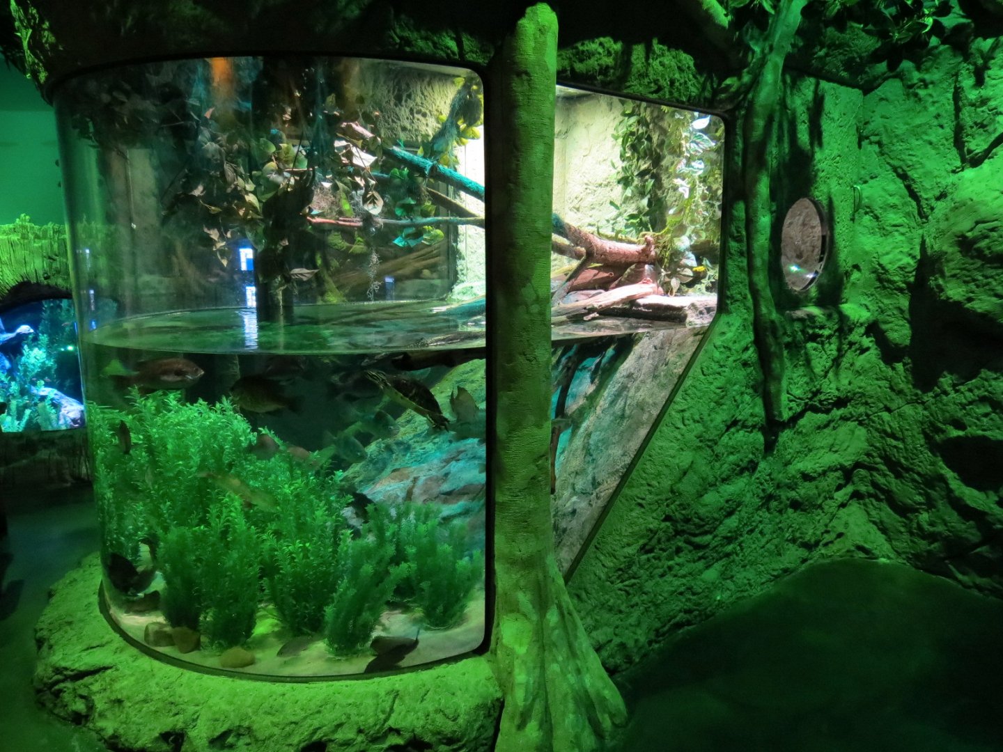 Everglades Wetlands Exhibits