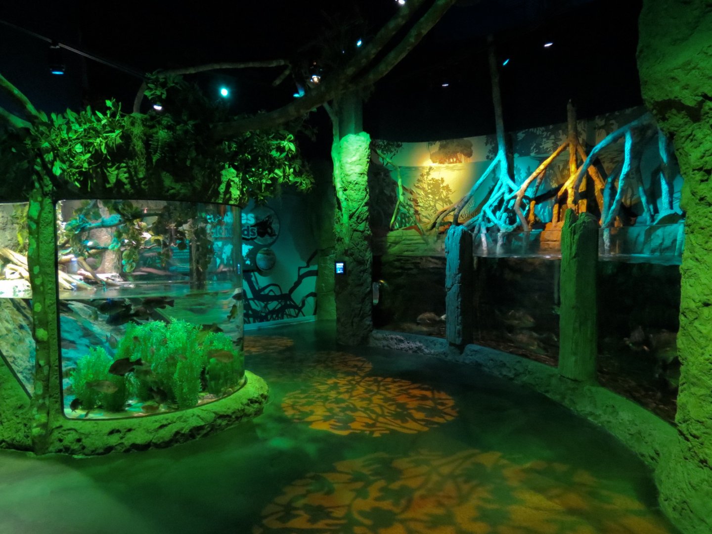 Everglades Wetlands Exhibits