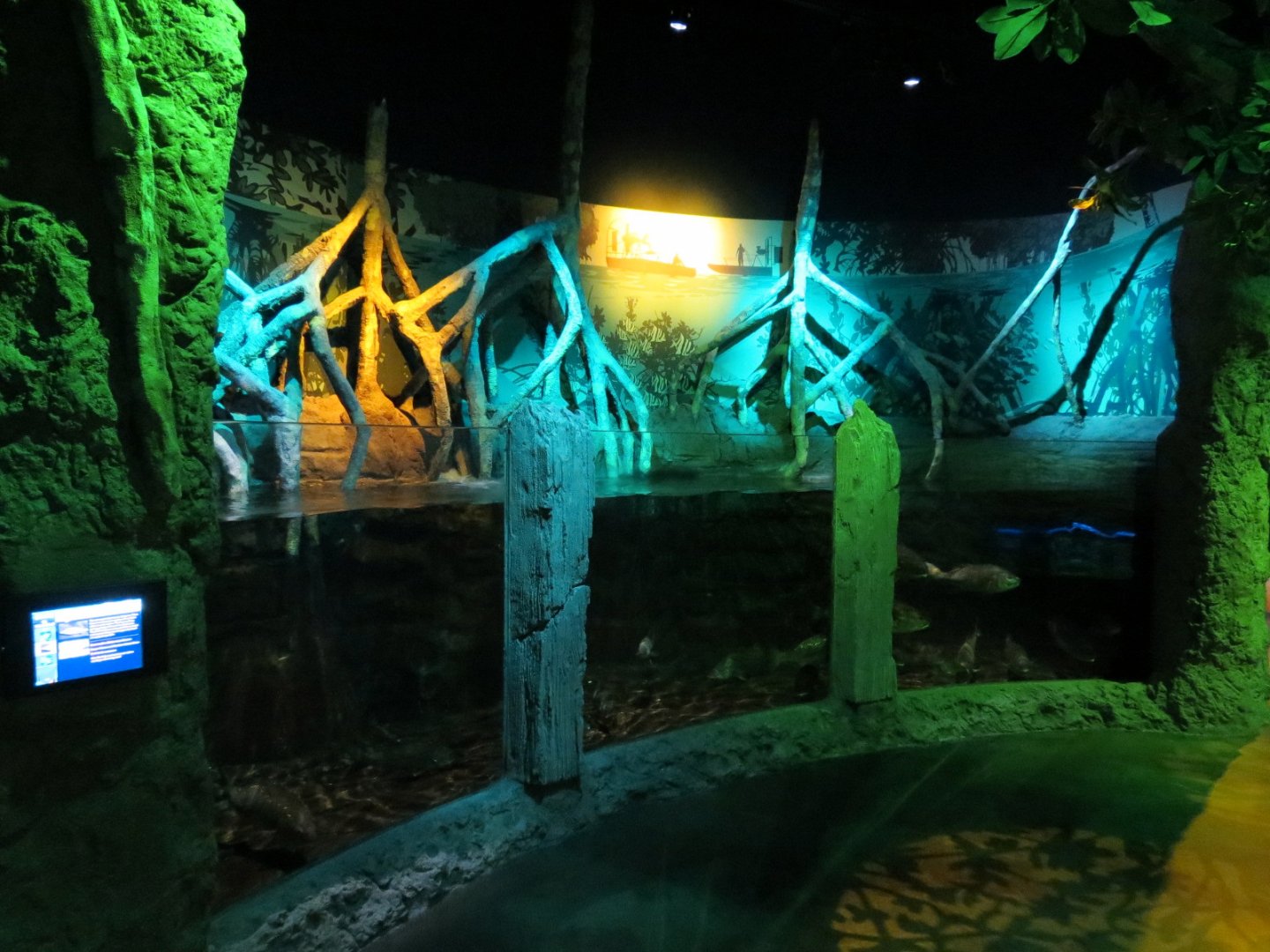 Everglades Wetlands Exhibits