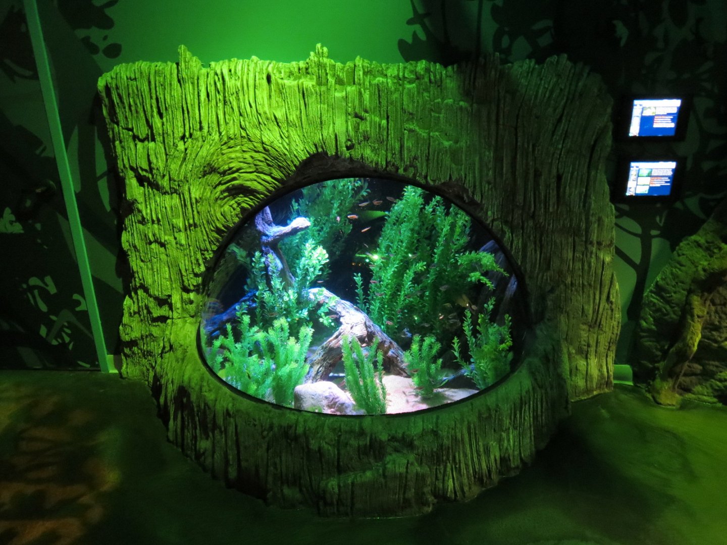 Everglades Wetlands Exhibits