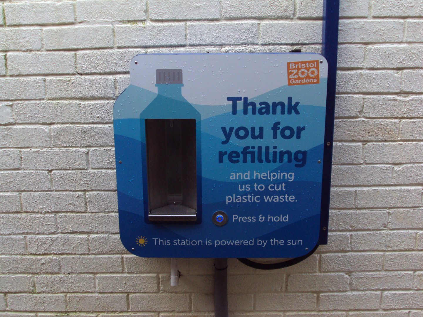 Every zoo should have one 03/01/2020