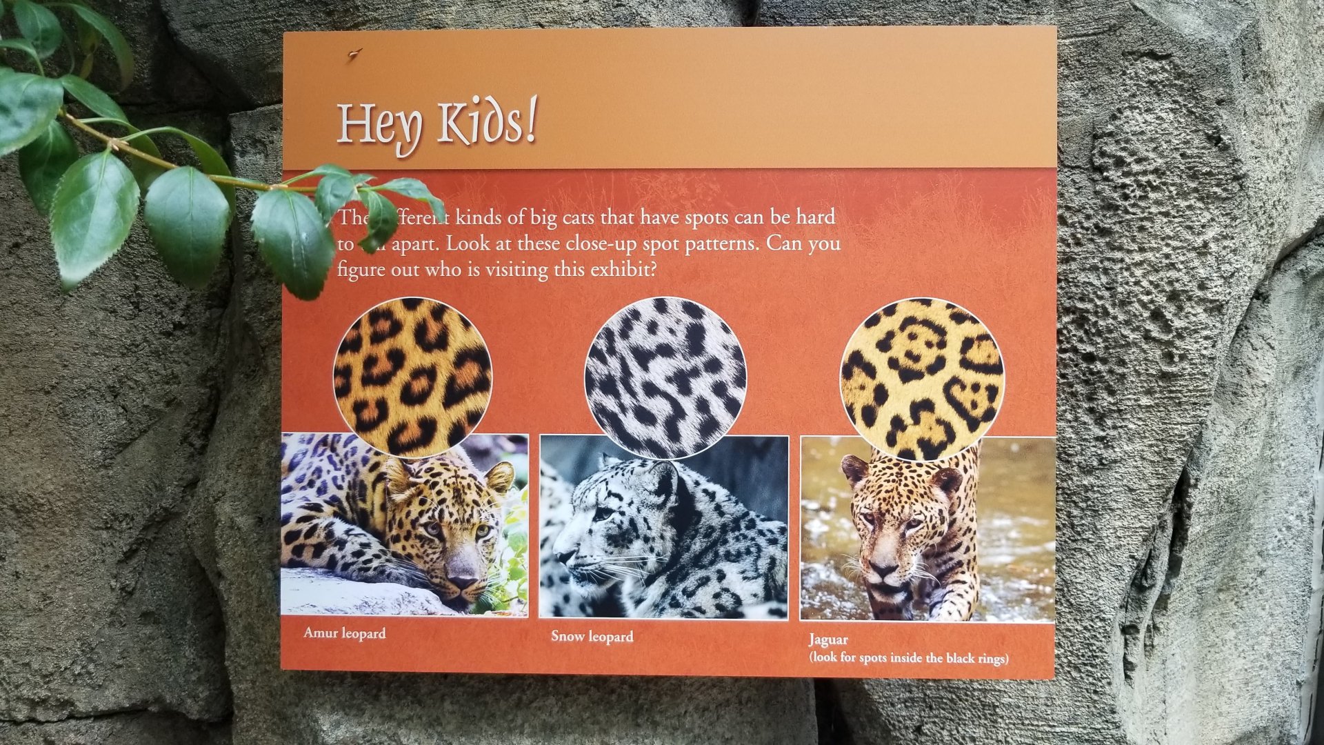 Every zoo should have this sign!