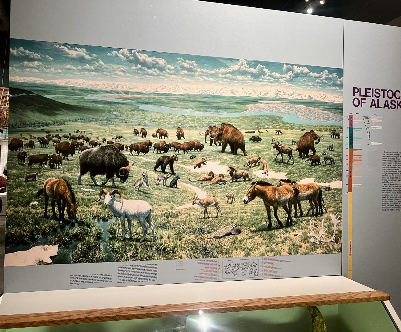 Everybody’s favorite illustration of Pleistocene Alaska