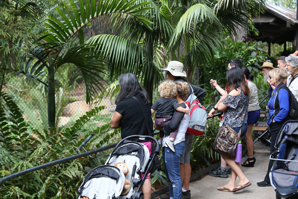 Everyone loves a baby