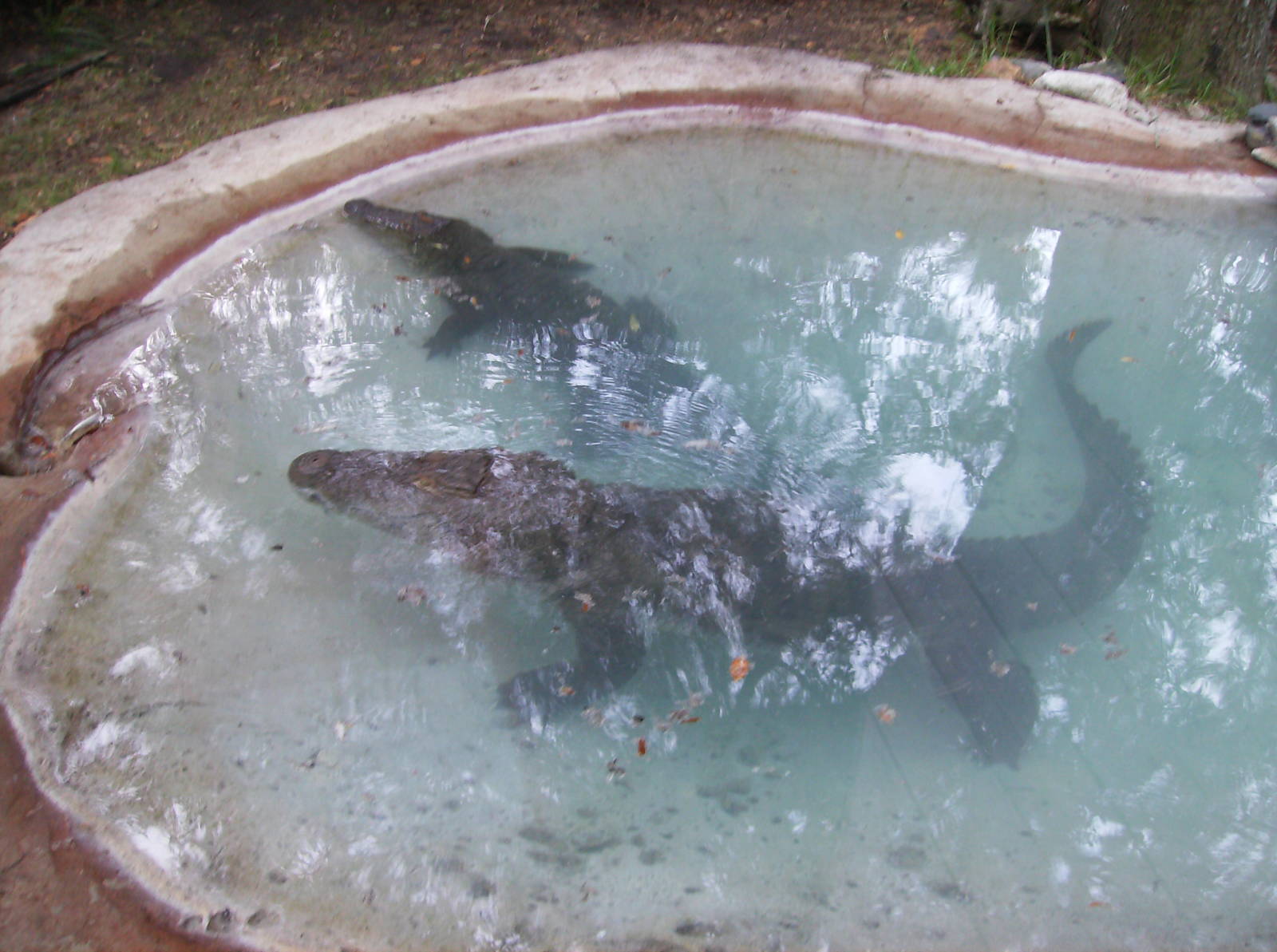 Everyone loves Muggers