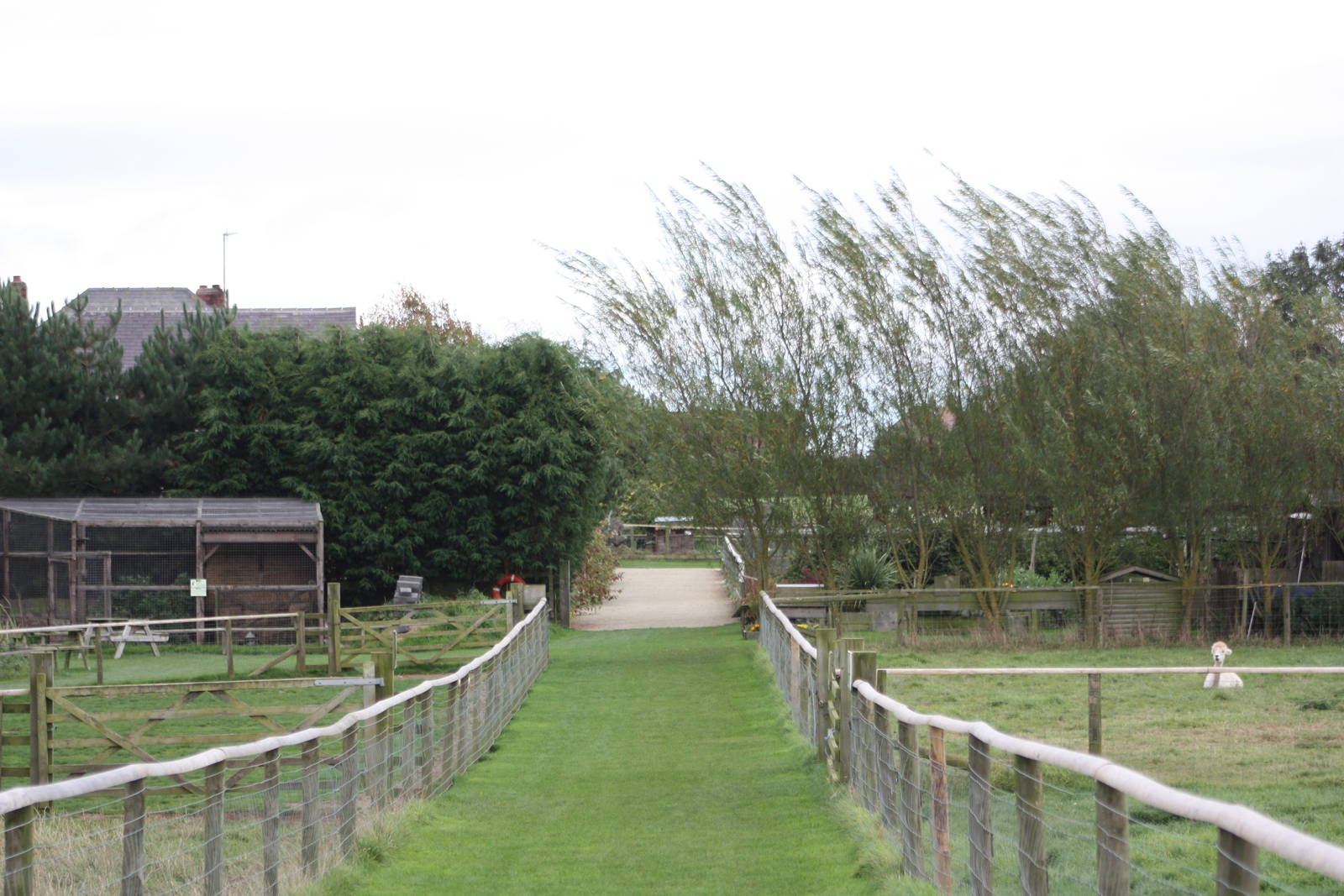 Evidence of a breezy day, 25th September 2014
