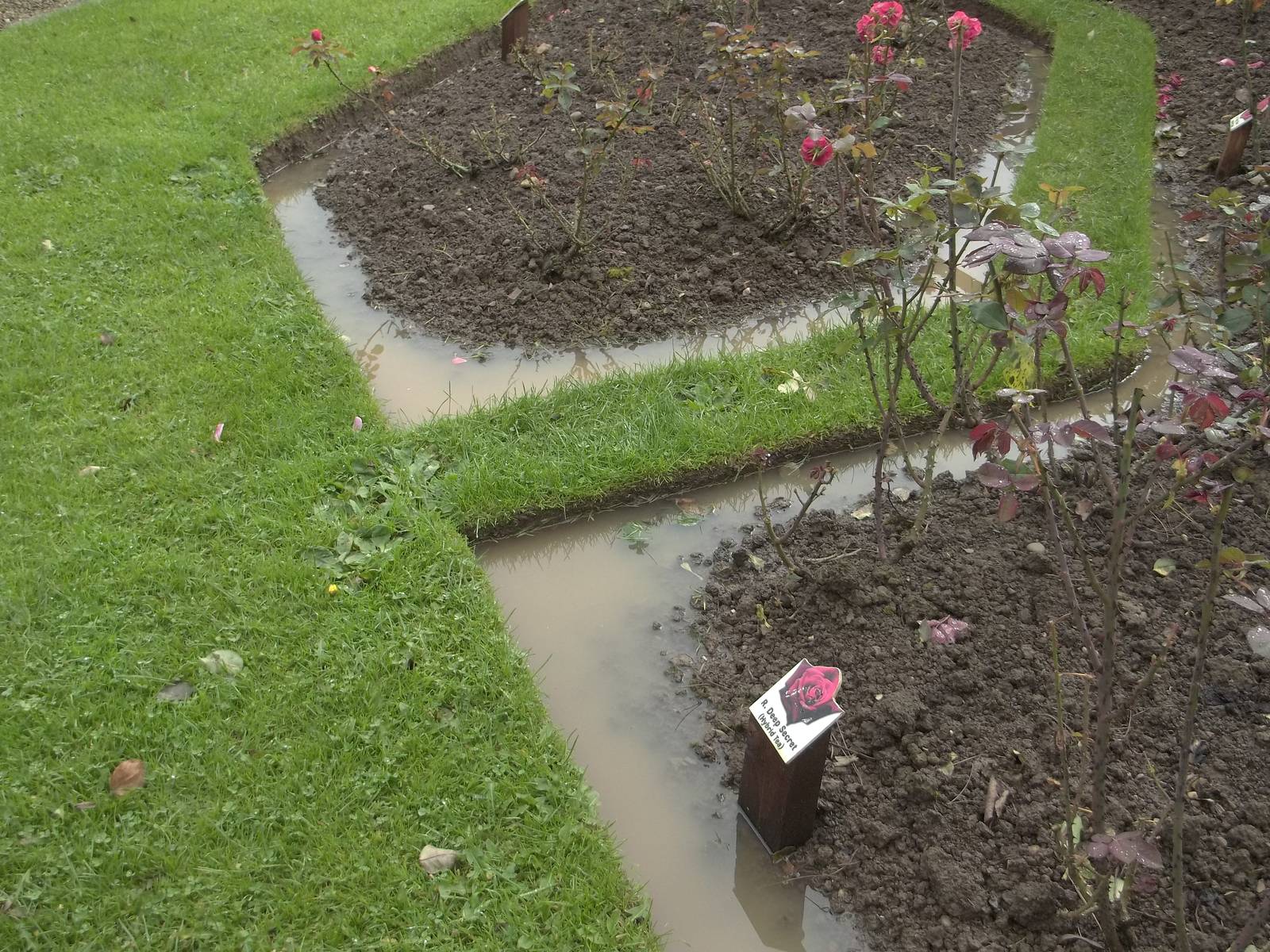 Evidence of soggy weather, 16th October 2014