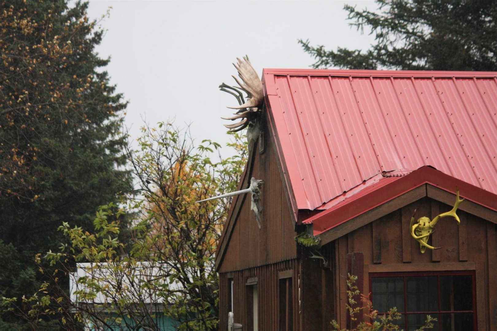 Evidence of the recent existence of the Unicorn?