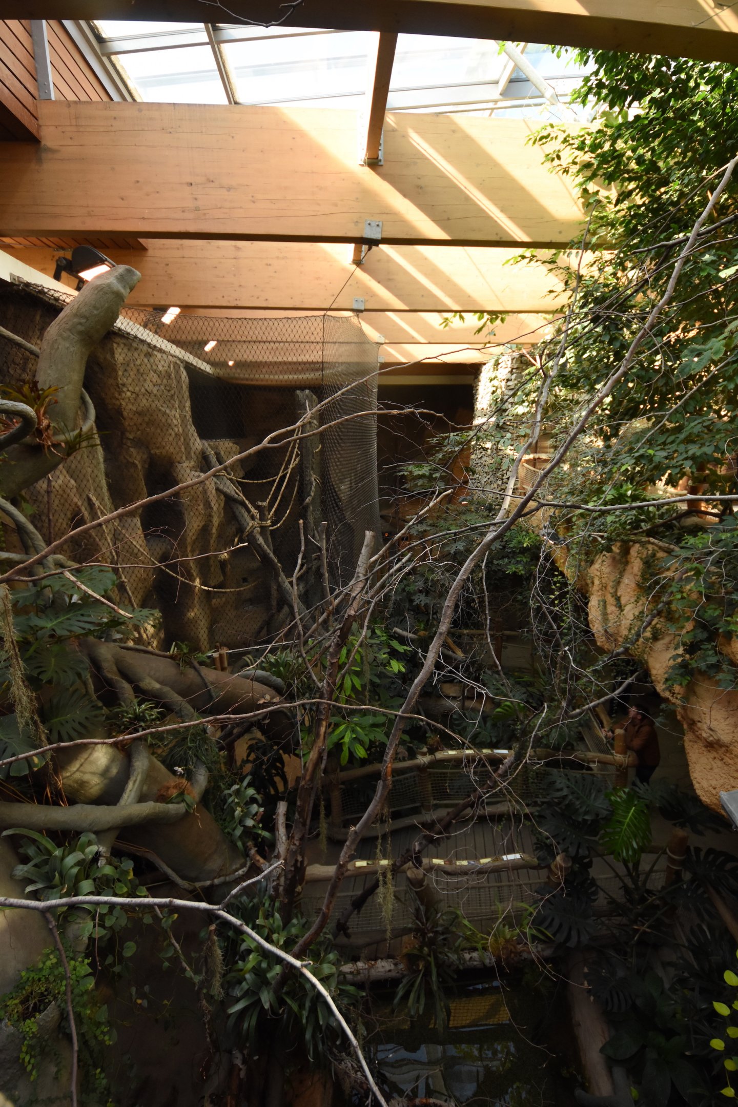 Evolution house - overview