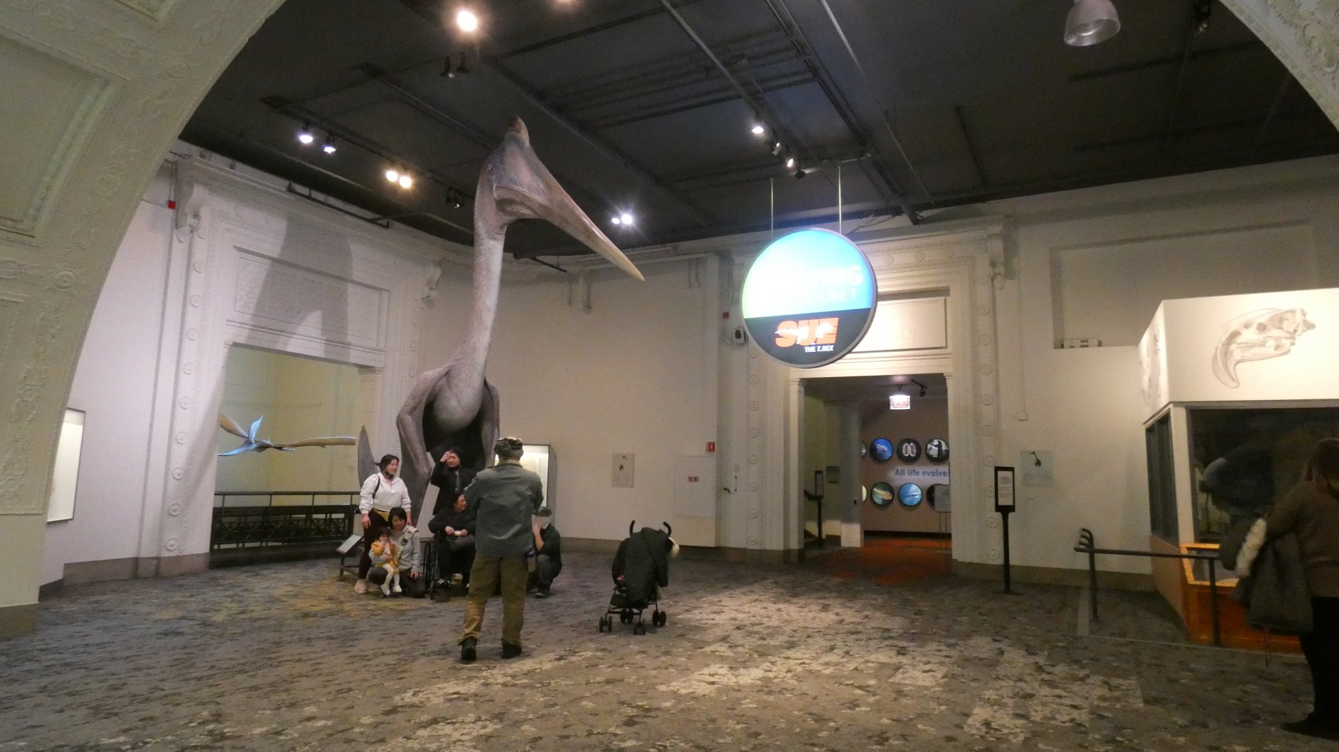 Evolving Planet Entrance - Feb. 2022