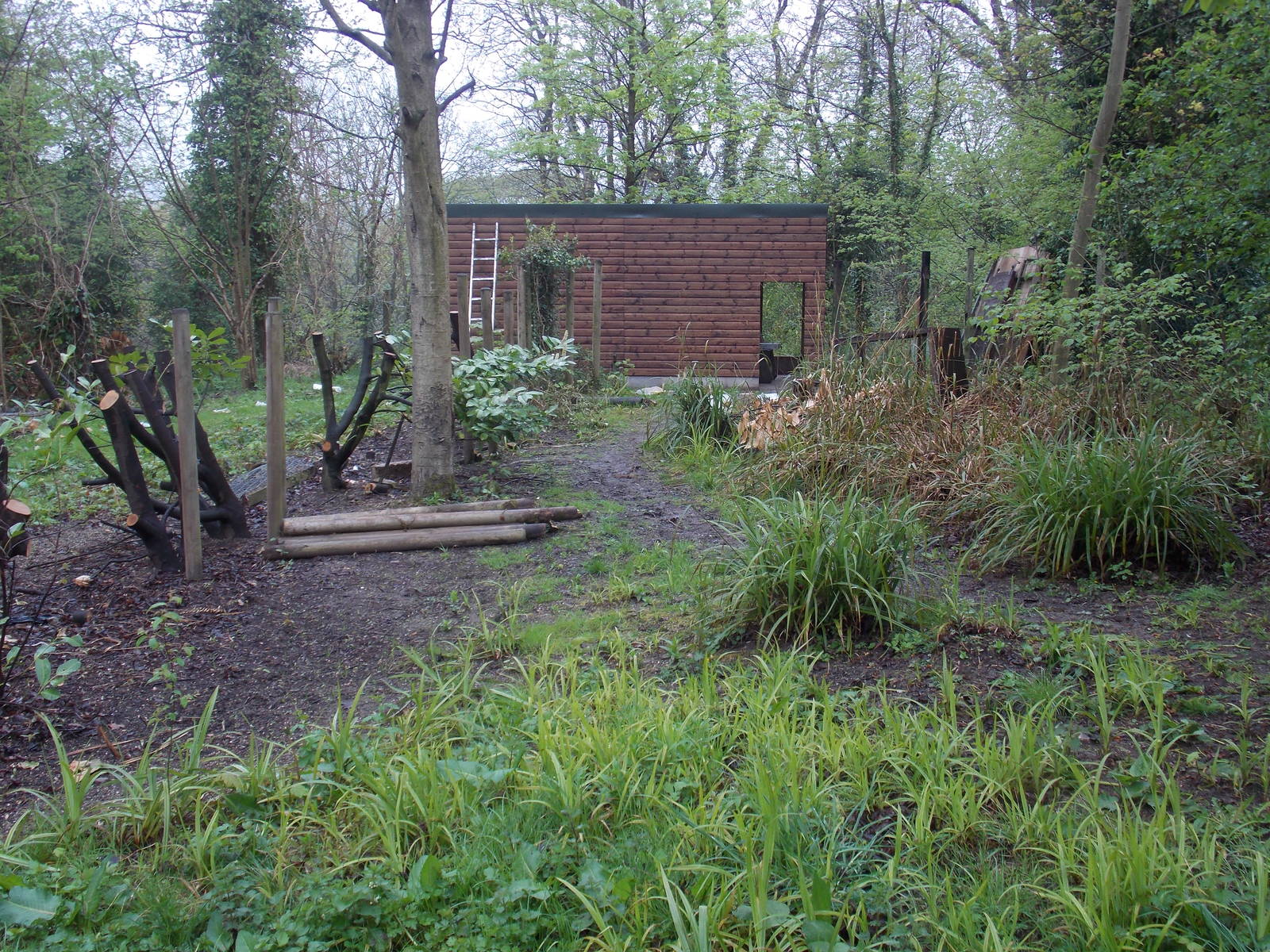 Ex-Cassowary exhibit