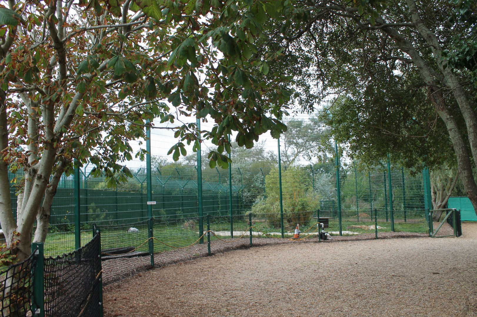 Ex Circus Lions Enclosure