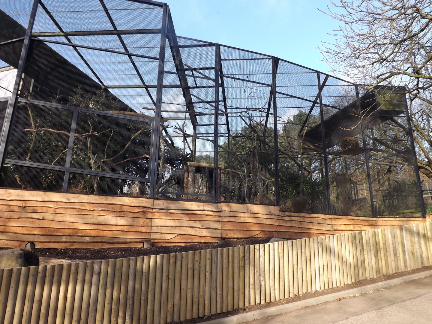 Ex Egyptian Vulture Enclosure