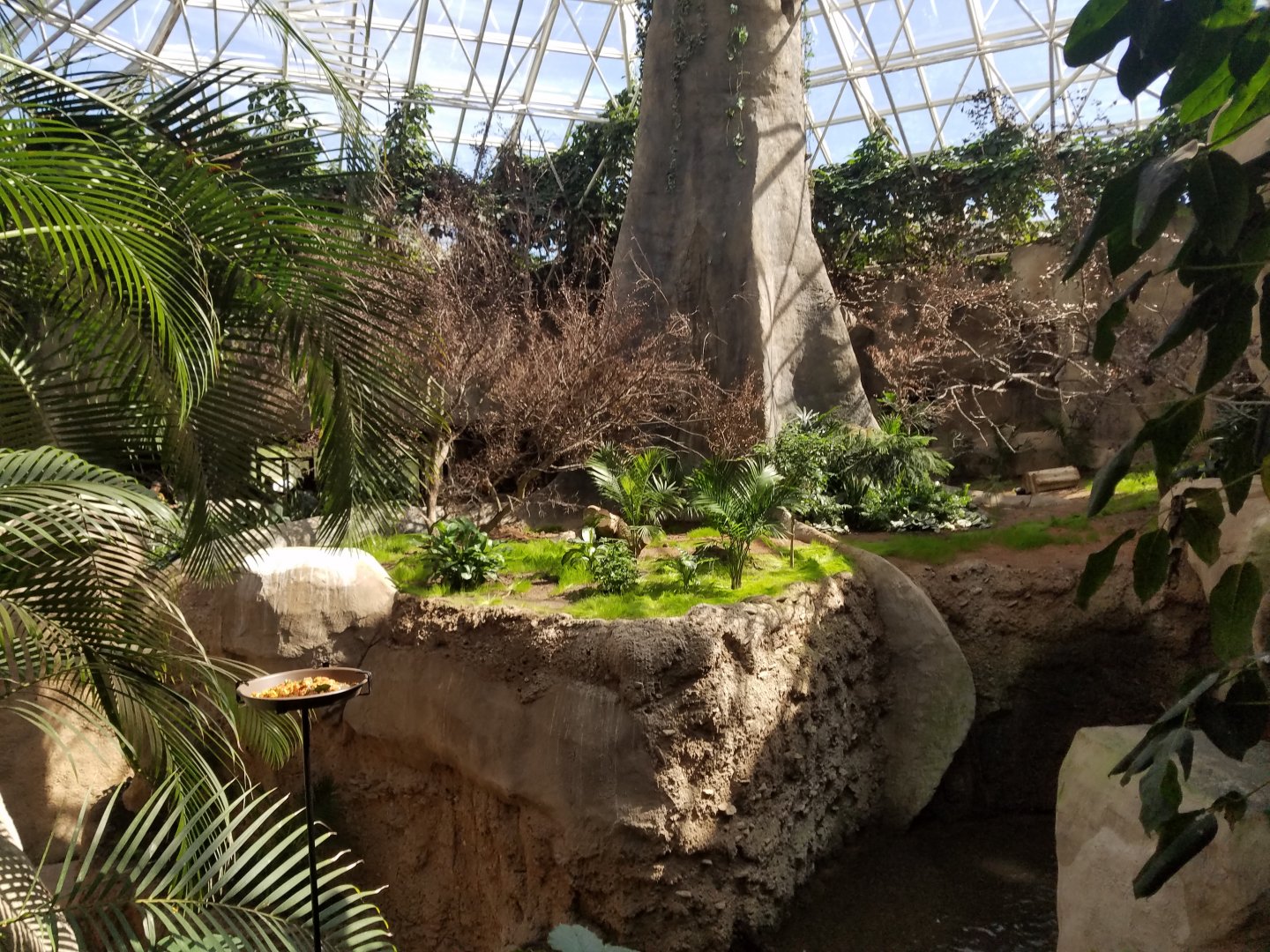 Ex-Gorilla Exhibit Aviary