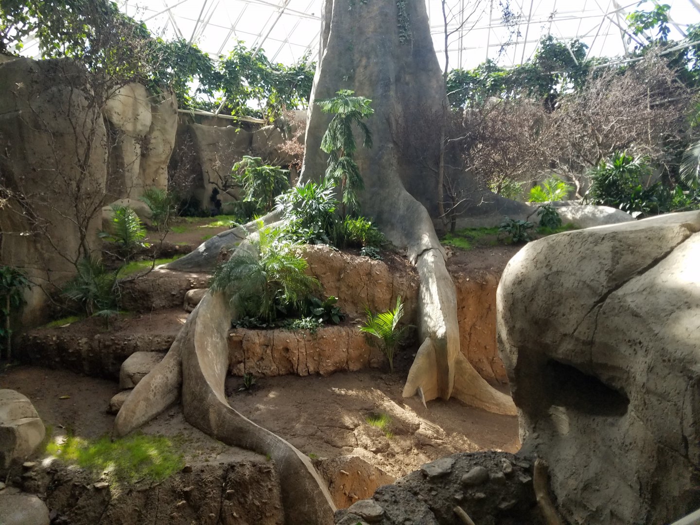 Ex-Gorilla Exhibit Aviary