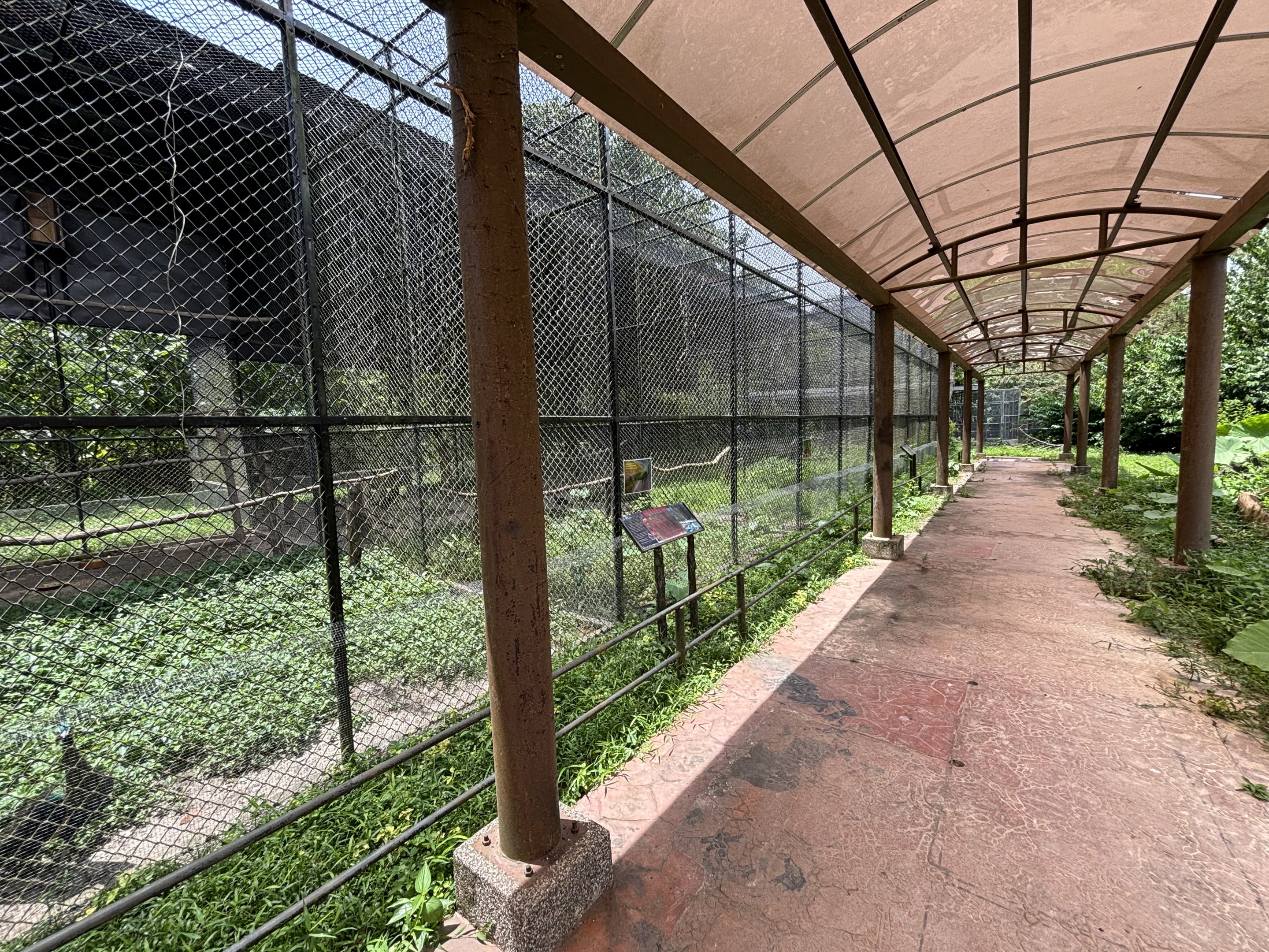 Ex-Hornbill Breeding Aviaries