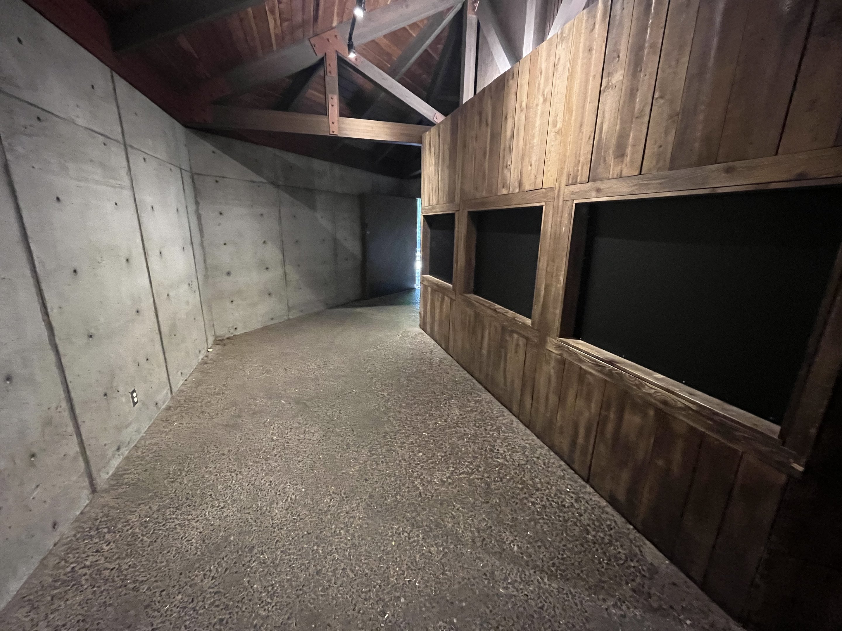 Ex-Ringtail Exhibit - now closed