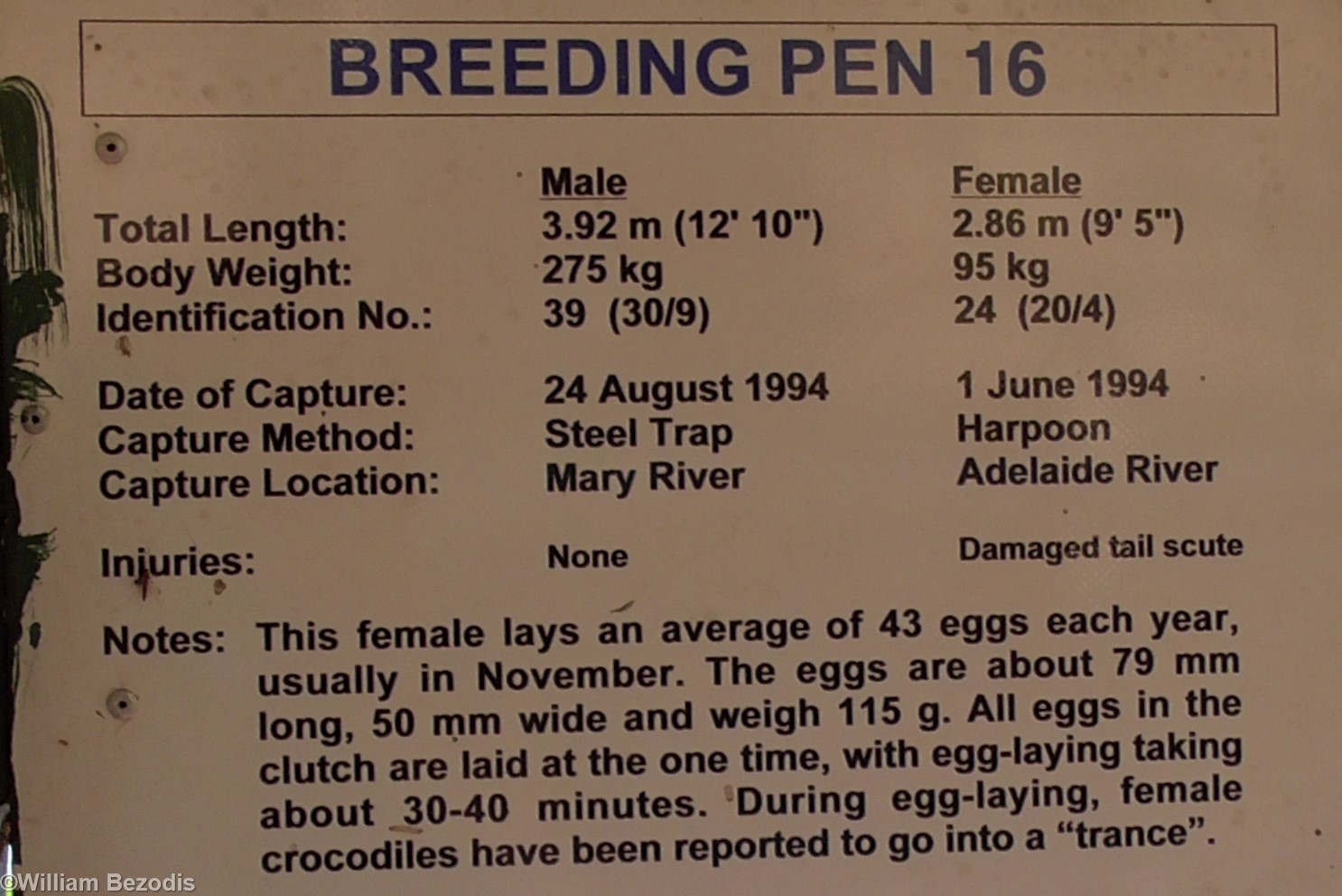 Example Breeding Pen Sign