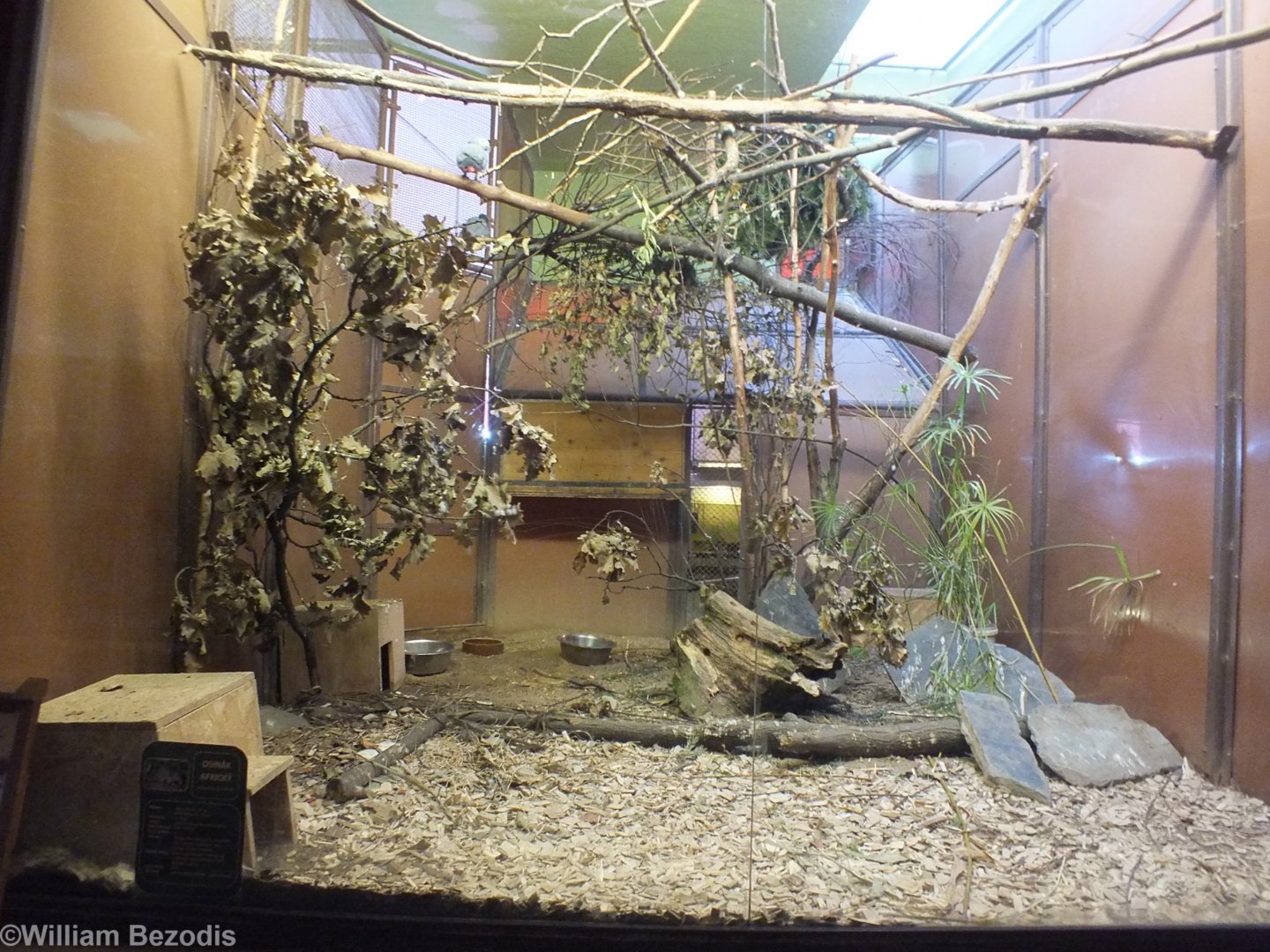 Example Enclosure in Exotarium