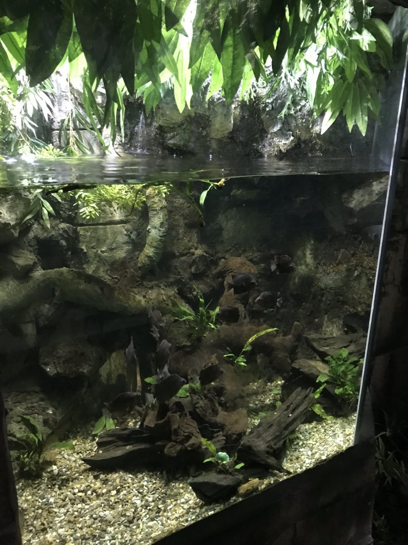 Example exhibit 090818