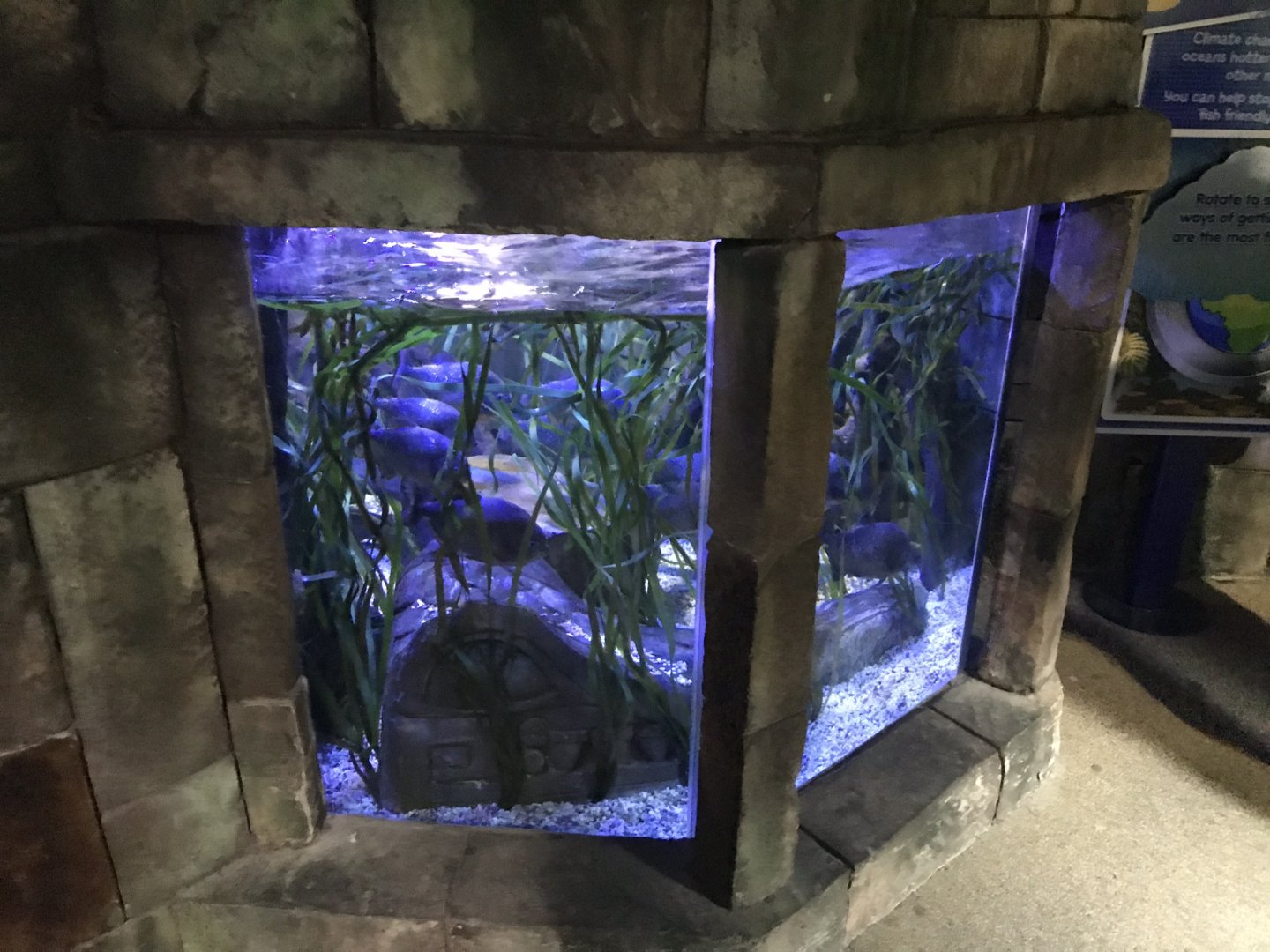 Example exhibit 090818