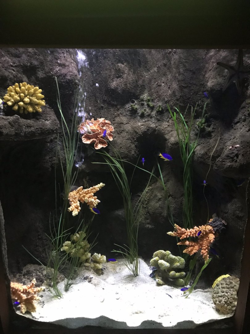 Example exhibit 090818