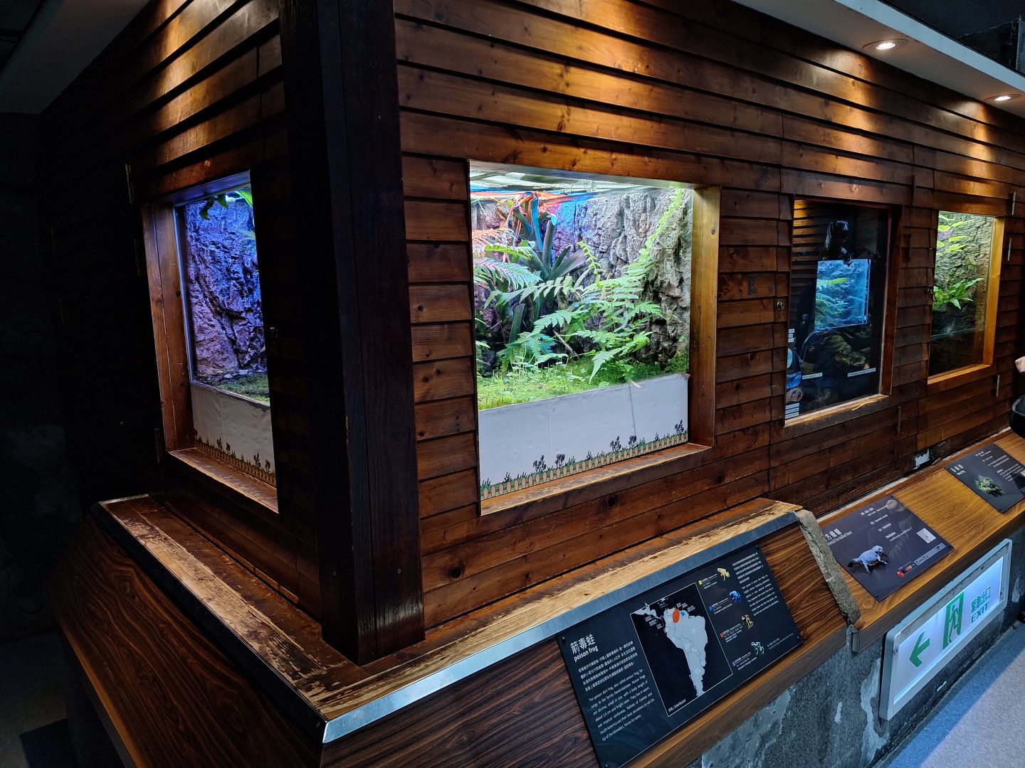 Example Exhibits- Amphibian and Reptile House
