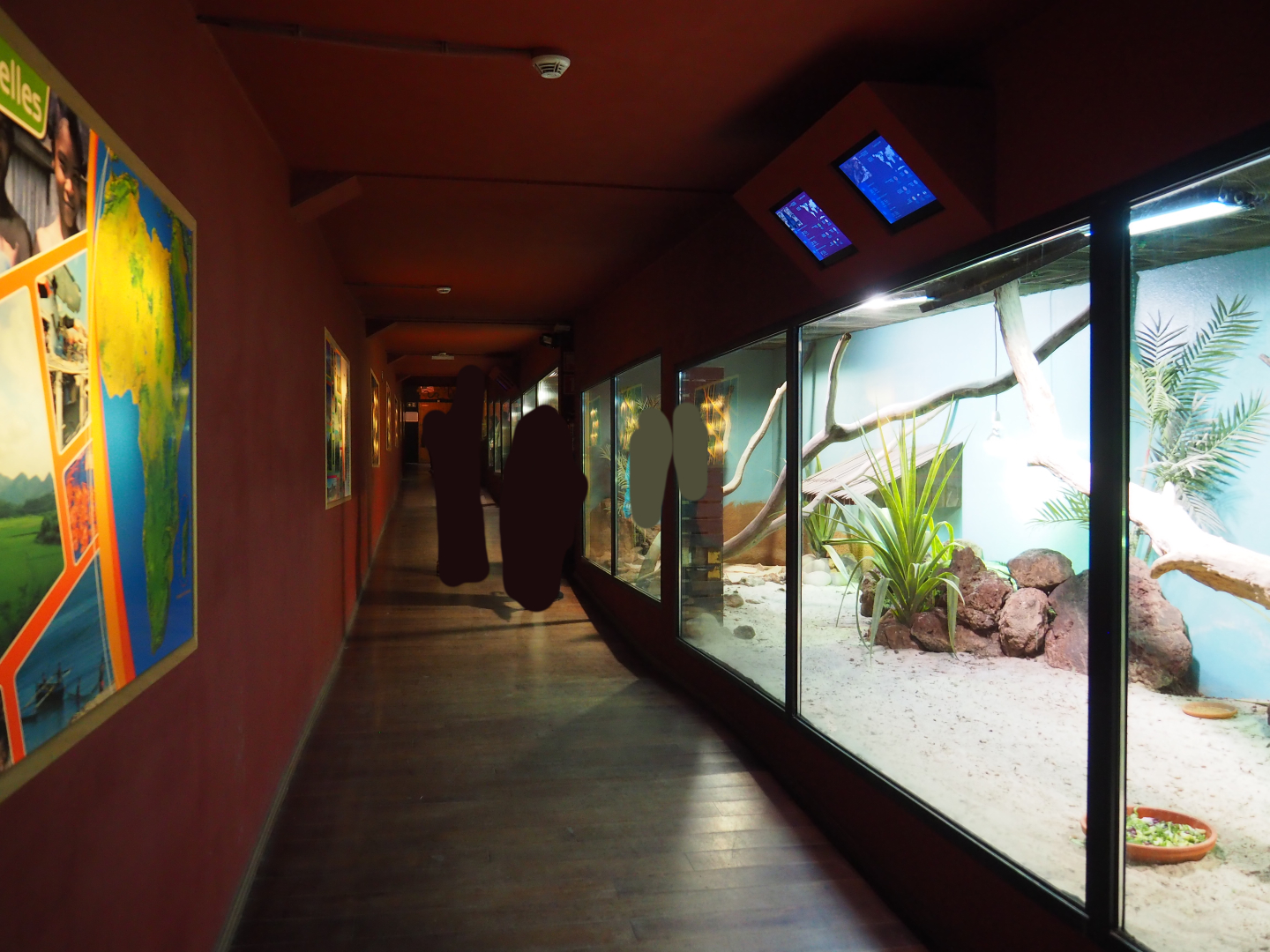 Example of a visitor corridor alongside reptile terraria in the Mersus Emergo, 2019-10-04