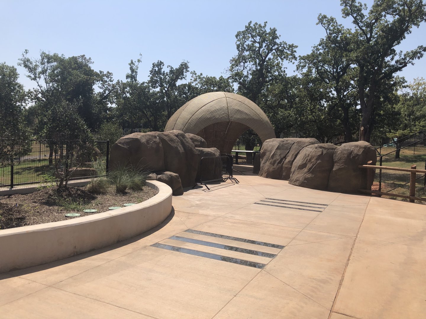 Example of African Wild Dog and Hyena Viewing