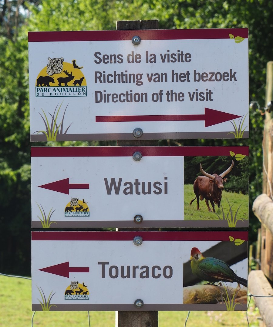 Example of animal park road signs, 2023-06-24