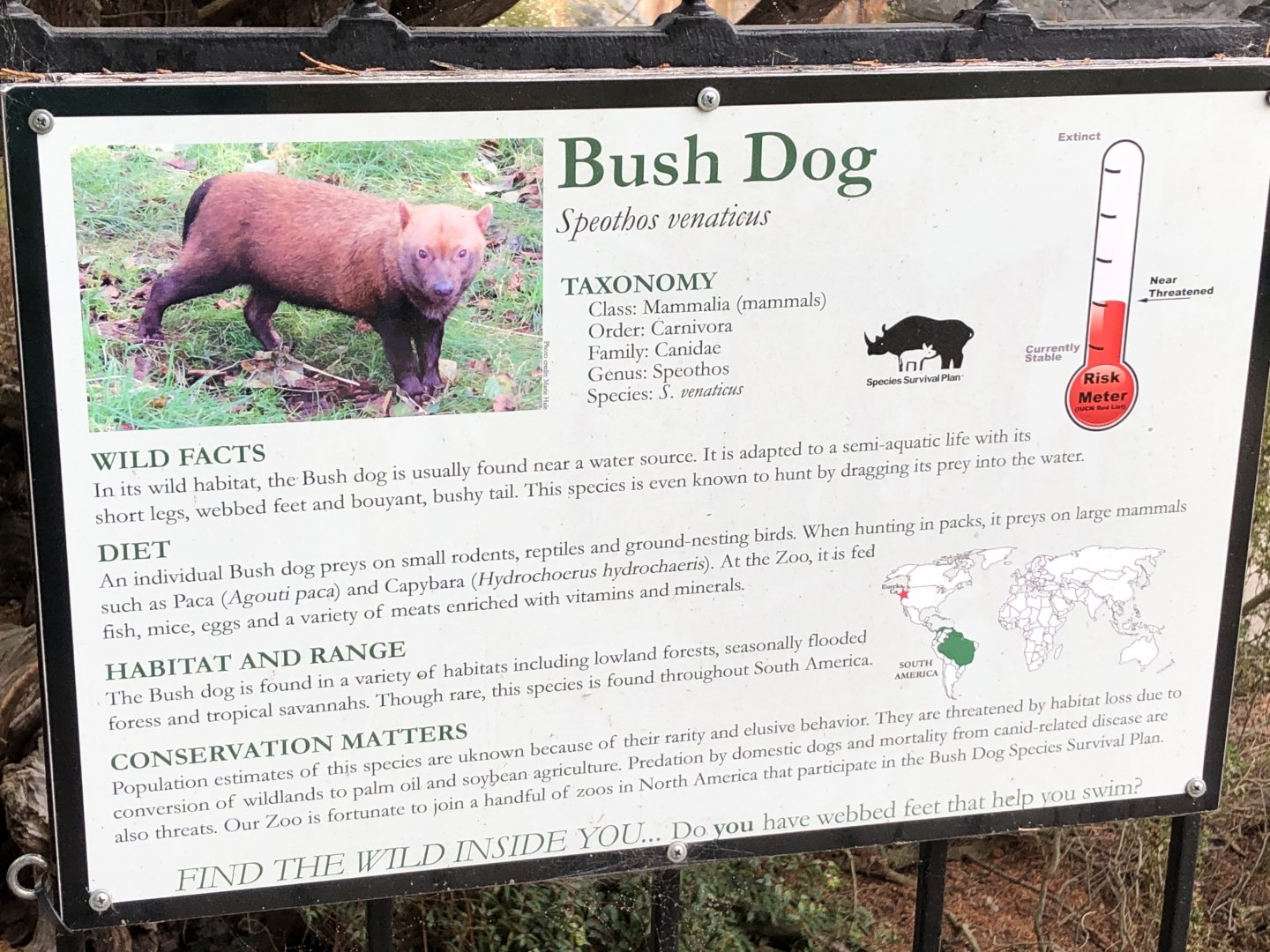Example of animal signage (bush dog)