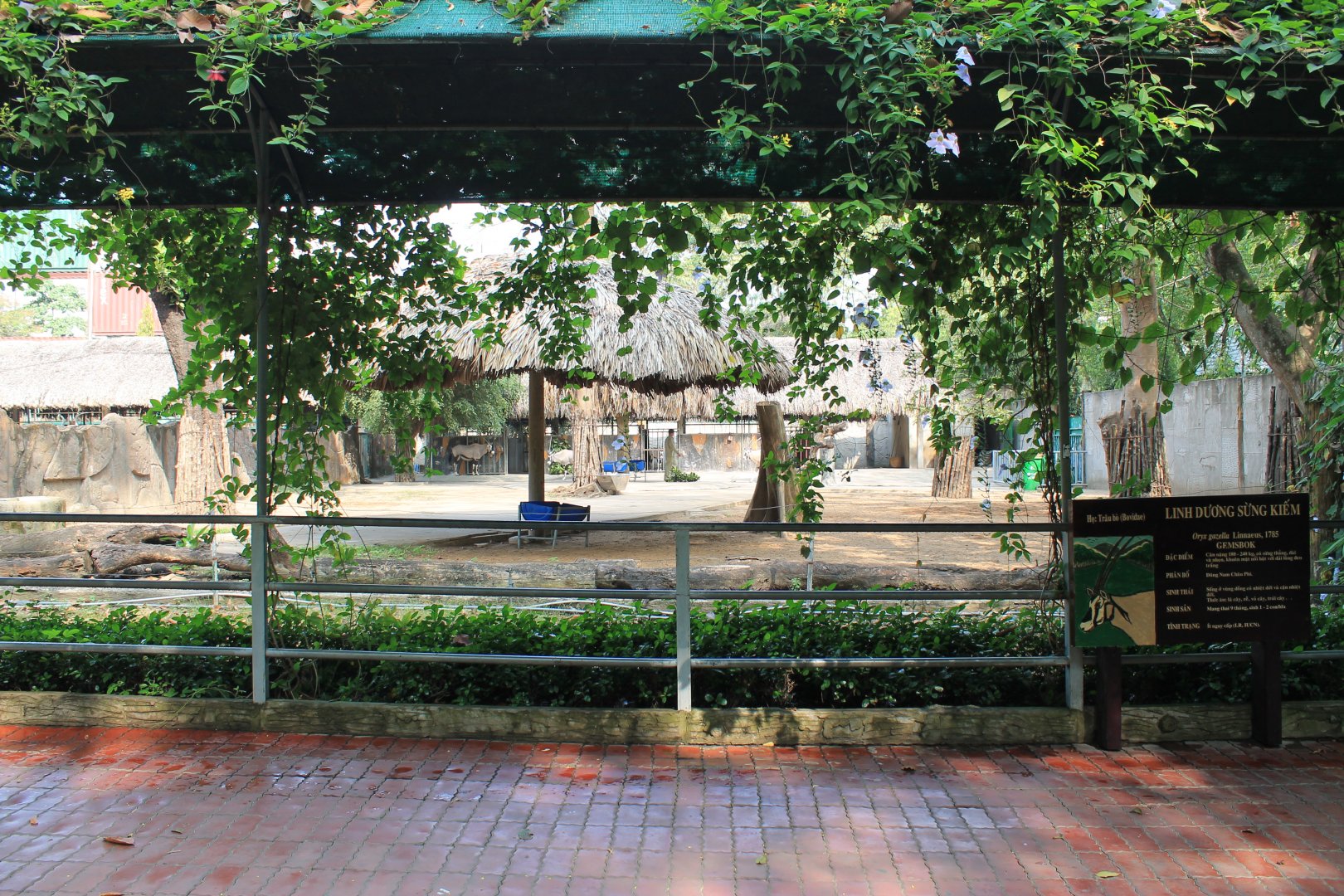 example of antelope enclosure (Gemsbok)