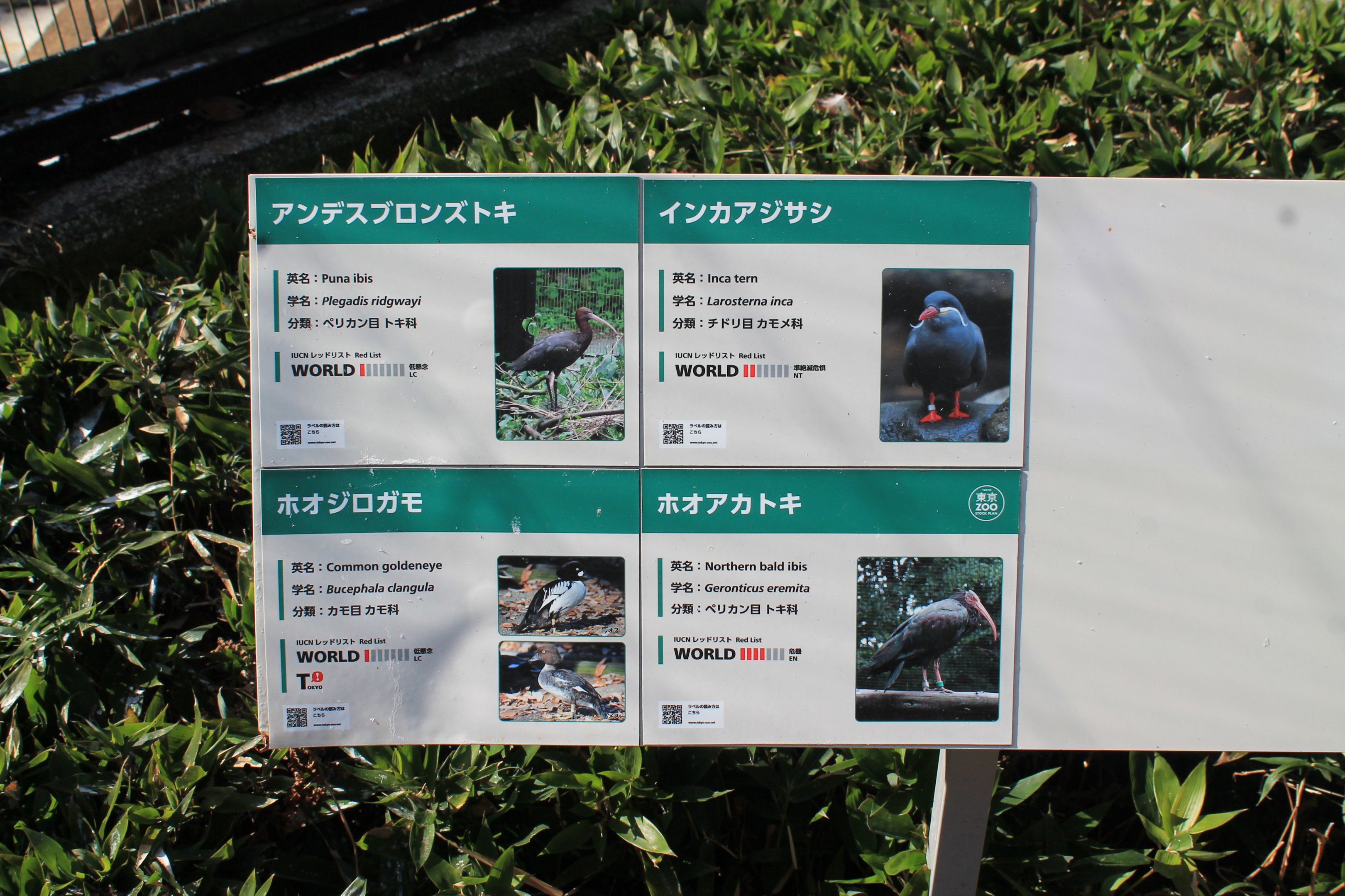 Example of aviary signage