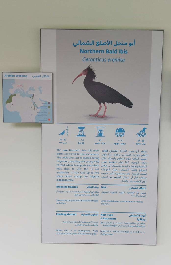 Example of beautiful designed information signs