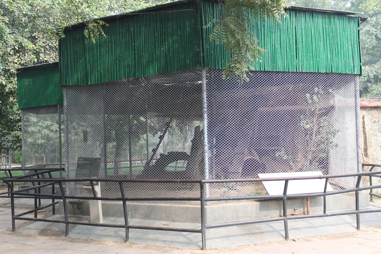 example of cages for small carnivores