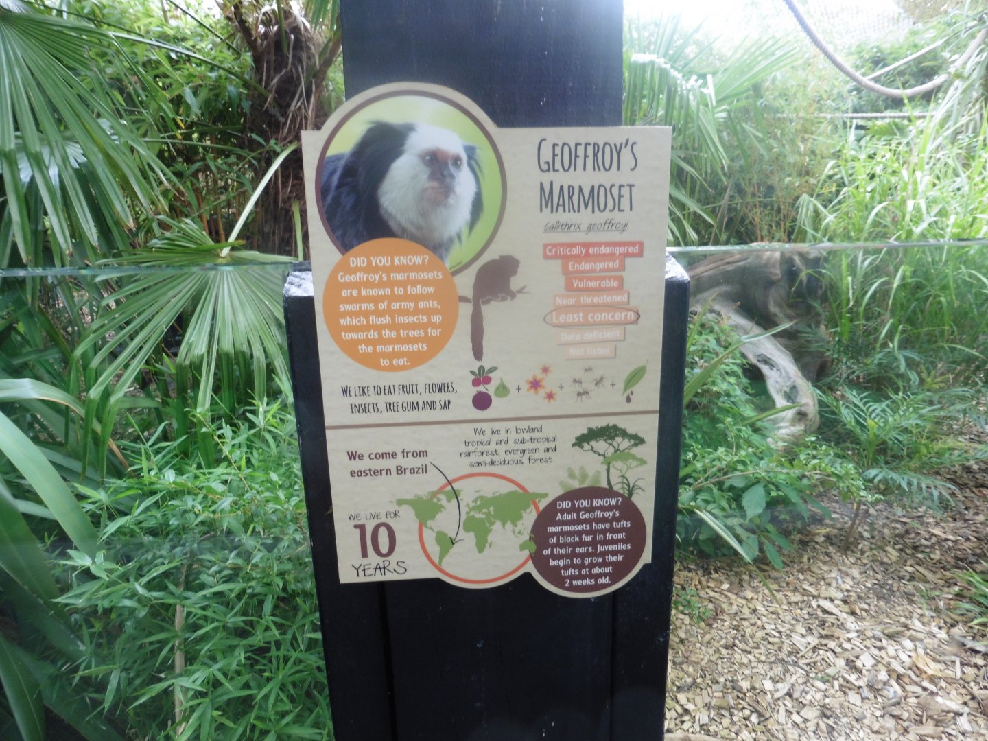 Example of Colchester Zoo interpreation boards